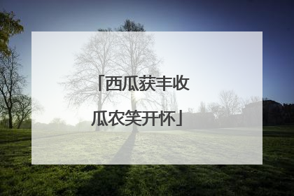 西瓜获丰收 瓜农笑开怀